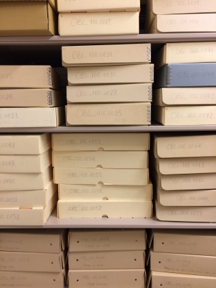 Just a few of the boxes sorted by SBMAL volunteer Jenna Jordan. Br. Jeff will analyze and add these to the finding guide.